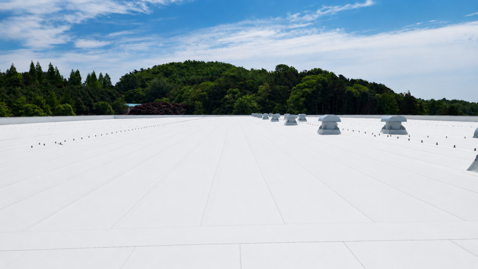 여주 신축 침대 공장 12,000㎡ 지붕의 TPO 시트 시공 과정 — 사진 10