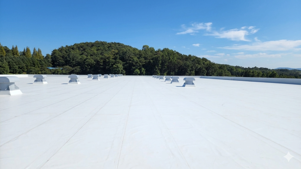 여주 신축 침대 공장 12,000㎡ 지붕의 TPO 시트 시공 과정